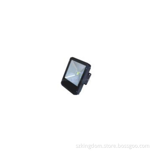 Bridgelux LED Projector Lights 100W